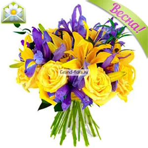 Серенада солнечной долины